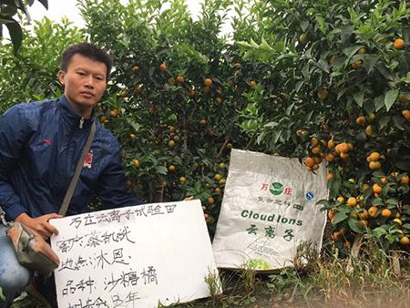 來(lái)賓象州縣沐恩